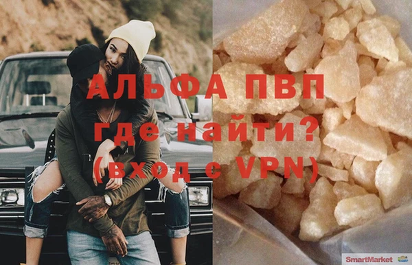 стафф Новодвинск