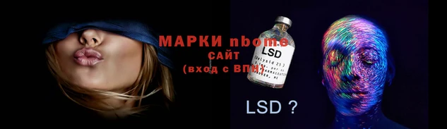стафф Новодвинск