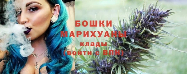 стафф Новодвинск