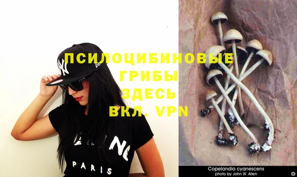 мдпв Нея