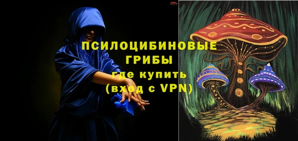 стафф Новодвинск