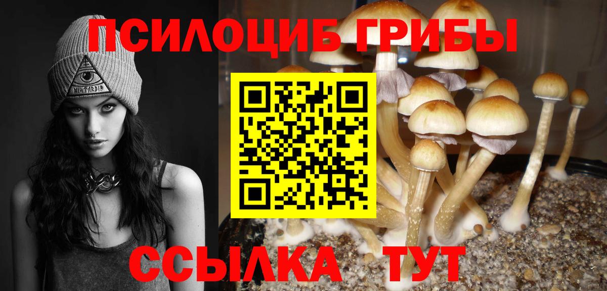 Сафоново  Галлюциногенные грибы Cubensis  Вход с VPN 